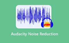 Audacity Noise Reduction