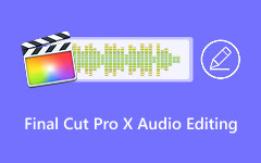 Final Cut Pro X Audio Editing