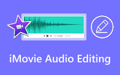 Imovie Audio Editing