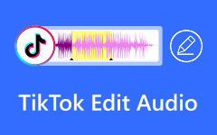 TikTok Edit Audio