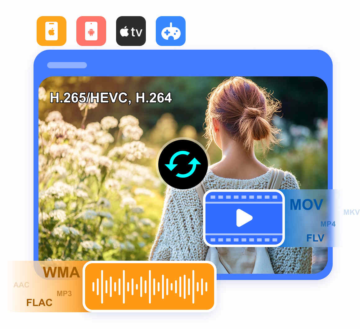 Video Converter