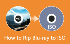 How to Rip Blu-ray to ISO