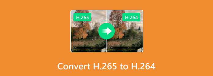 Convert MKV to AVI