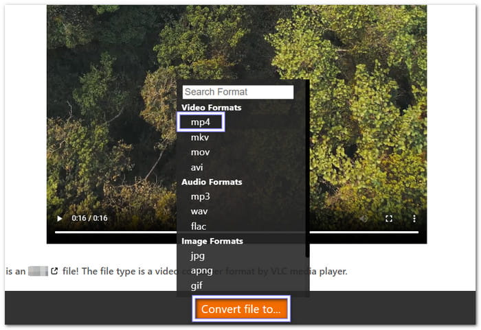 Choose MP4 AS Your Output Format And Download IT