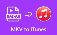 MKV to iTunes