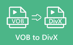 VOB to DivX