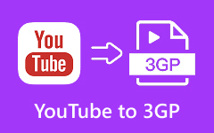 YouTube to 3GP