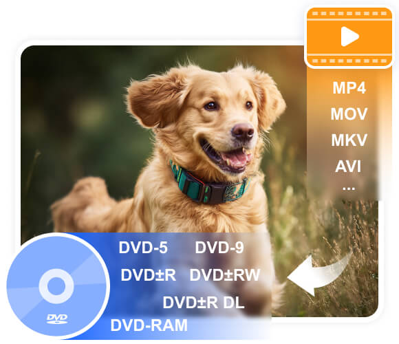 Burn Video to Dvd