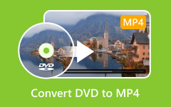 Convert DVD to MP4