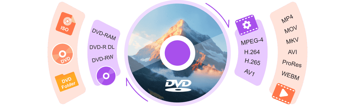 Rip DVD to Digital
