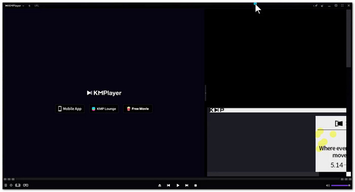 KMPlayer Software