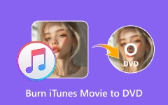 Burn iTunes Movie to DVD