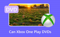 Use Xbox One Play DVDs