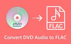 Convert DVD Audio to MP3