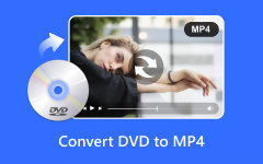 Convert DVD to MP4