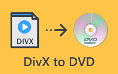 DivX to DVD