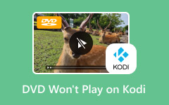 DVD Wont Play on Kodi