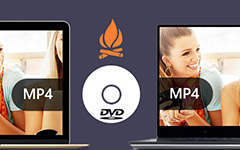MP4 to DVD Creators