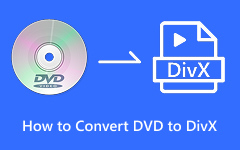 How to Convert DVD to DivX
