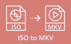ISO to MKV