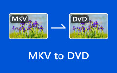 Convert MKV to DVD