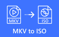 MKV to ISO
