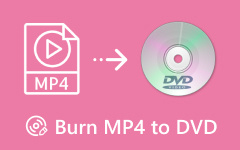 Convert MP4 to DVD