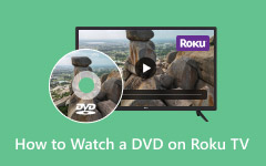Watch DVD on Roku TV