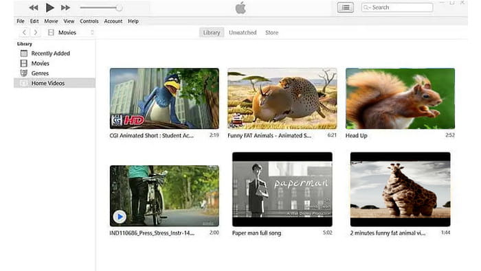 Transfer DVD to iPad iTunes
