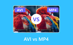 AVI VS MP4