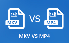 MKV To MP4