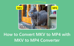 MKV to MP4