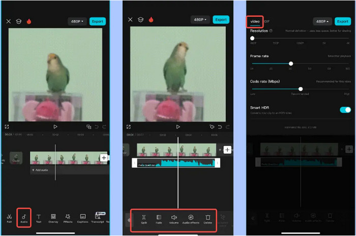 Capcut App