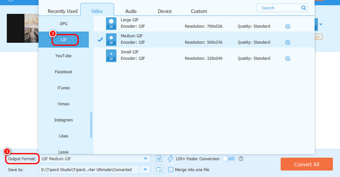 Output Format GIF Tipard