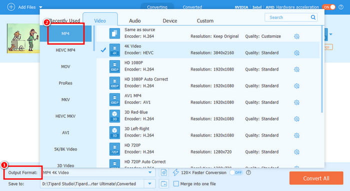 Output Format Choose Video Format Tipard