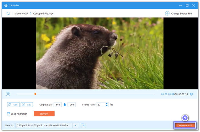 Save Your Newly Created GIF