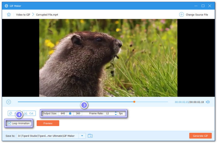 Set The Output Size And Frame Rate