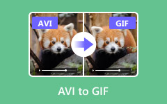 AVI to GIF