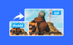 WebM to GIF
