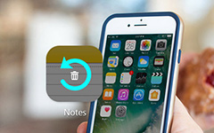 Recover Deleted Notes on iPhone