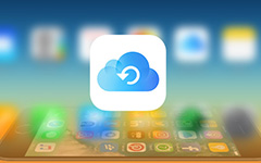 Restore iPhone Data from iCloud Backup