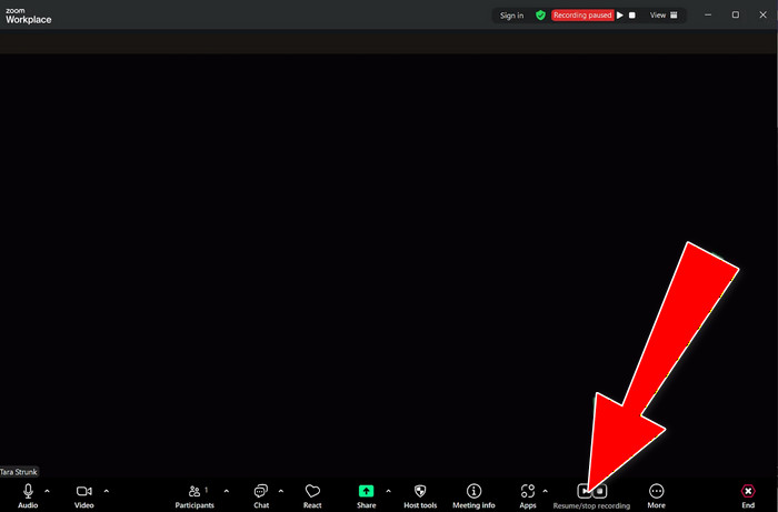 Resume Stop Recording