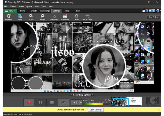 What is Debut Video Capture