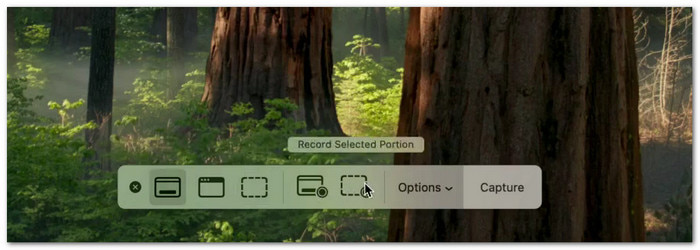 Using QuickTime Player