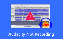 Audacity Recording