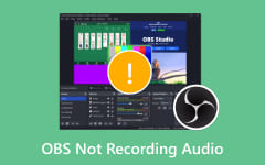 OBS Not Recording Audio