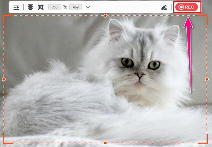 Tipard Screen Capture Record Stop Button