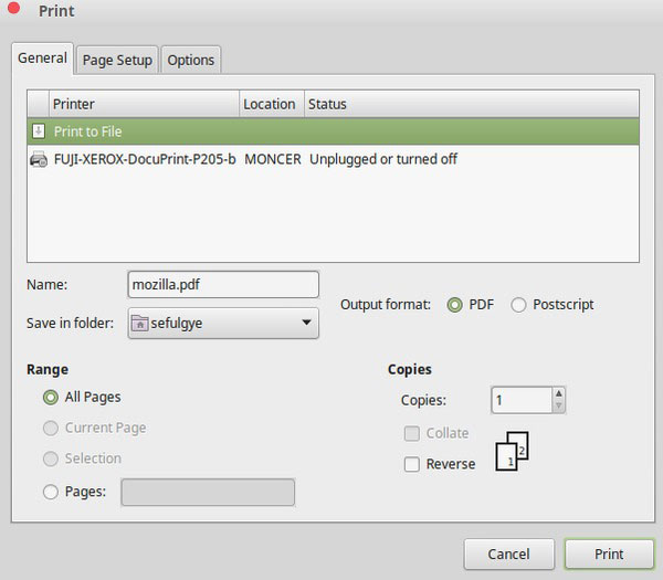 FireFox Print Feature
