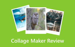 Collage Maker Review