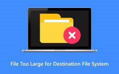 File Too Large for Destination File System